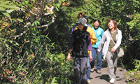 image01