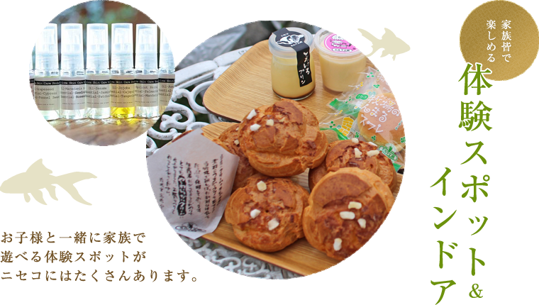 体験スポット&インドア